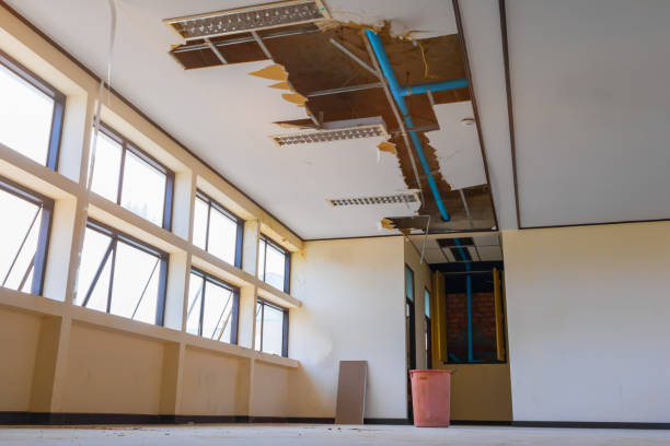Best Ceiling water damage repair  in Delphos, OH