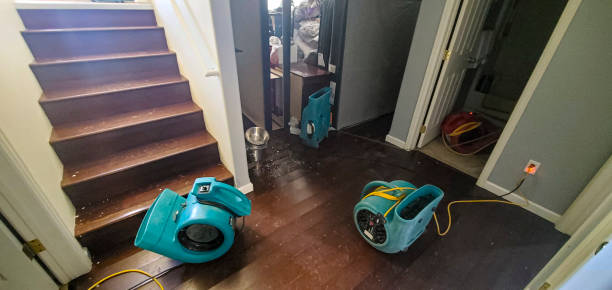 Best Emergency water damage restoration  in Delphos, OH