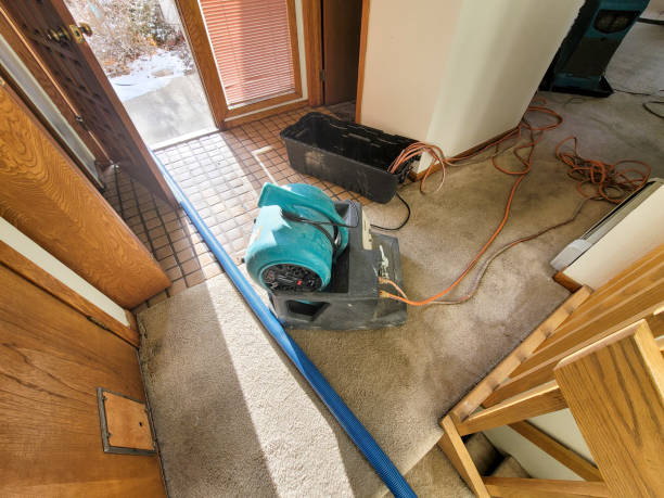 Best Ceiling water damage repair  in Delphos, OH