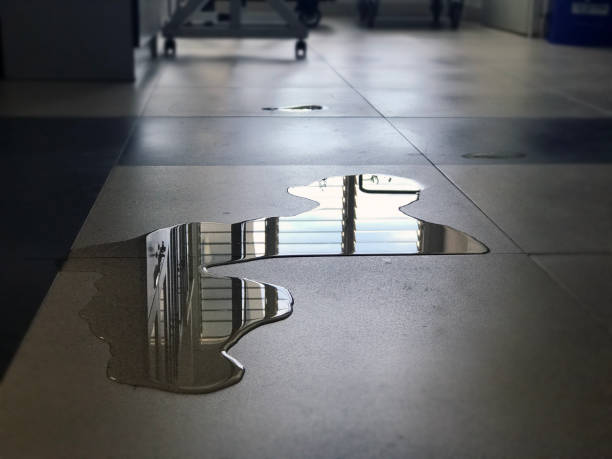 Best Water damage restoration company  in Delphos, OH