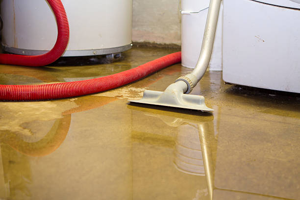 Best Basement water damage restoration  in Delphos, OH