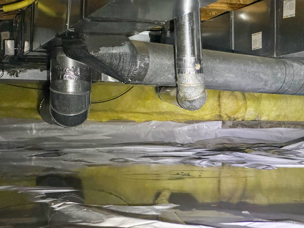 Best Fire Damage Restoration  in Delphos, OH