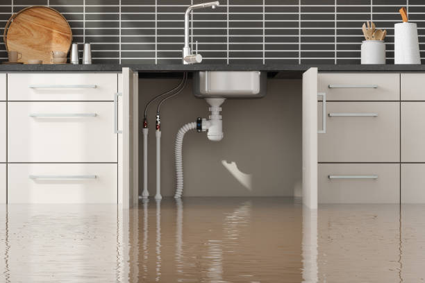 Best 24-hour water damage restoration  in Delphos, OH