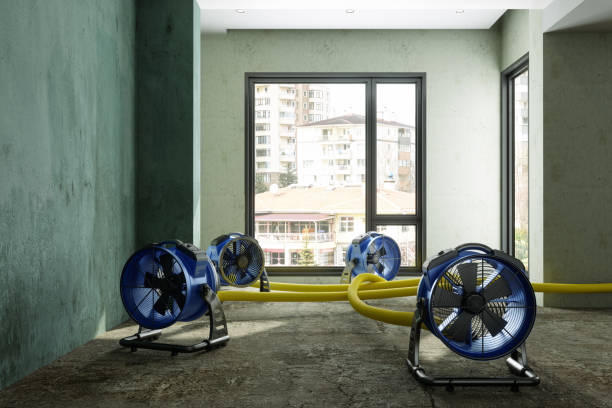 Best Water damage restoration near me  in Delphos, OH